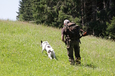 Schnallen auf der Schleppe