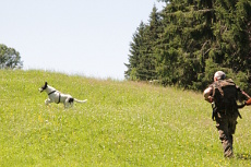 Selbstständige Arbeit