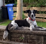 max