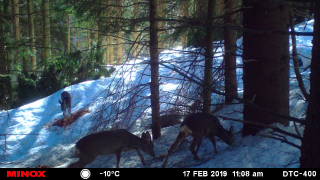 Hegemaßnahme 2019:Video 1