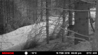 Hegemaßnahme 2019: Video 2